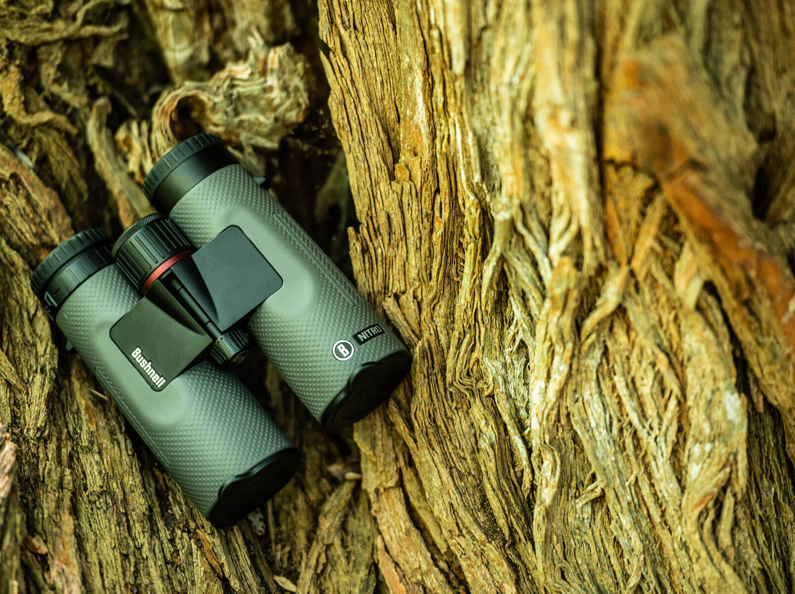 Binoculars | Hunting & Birding Binos | Bushnell
