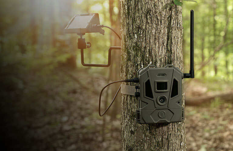 Trail Cameras, Hunting & Cellular Cameras | Bushnell