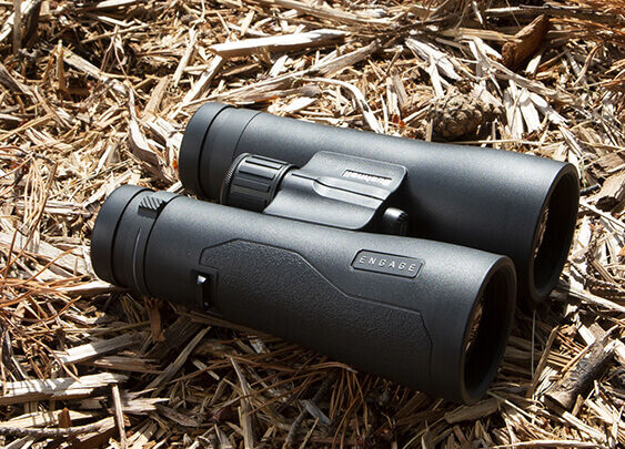 Best cheap bushnell binoculars