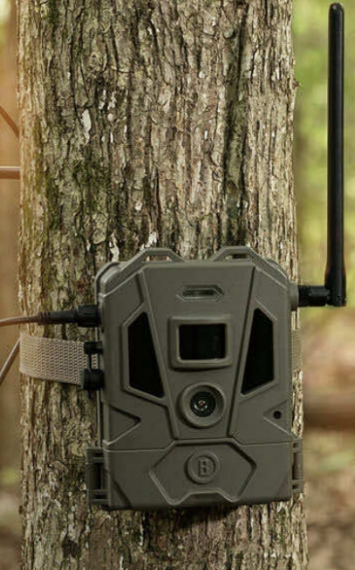 Cellular Trail Cameras