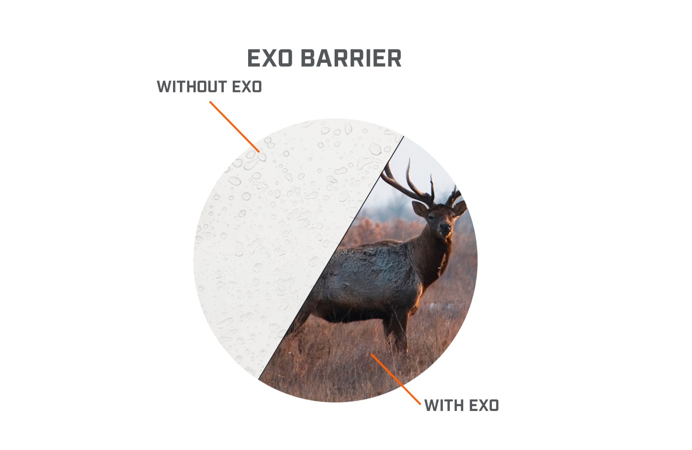 Exo Barrier